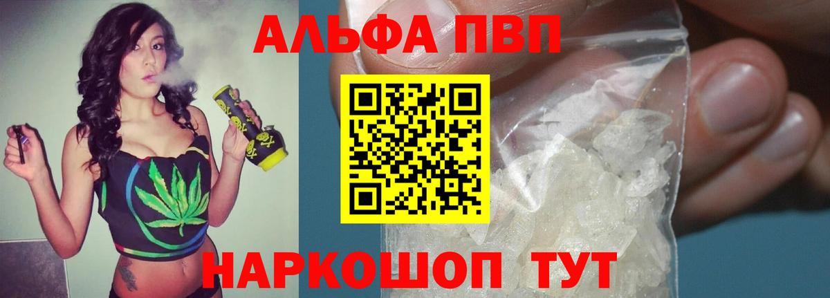Alfa_PVP СК Нарткала