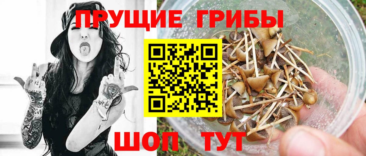 Галлюциногенные грибы Psilocybe  Галлюциногенные грибы GOLDEN TEACHER  Нарткала  Вход с VPN 