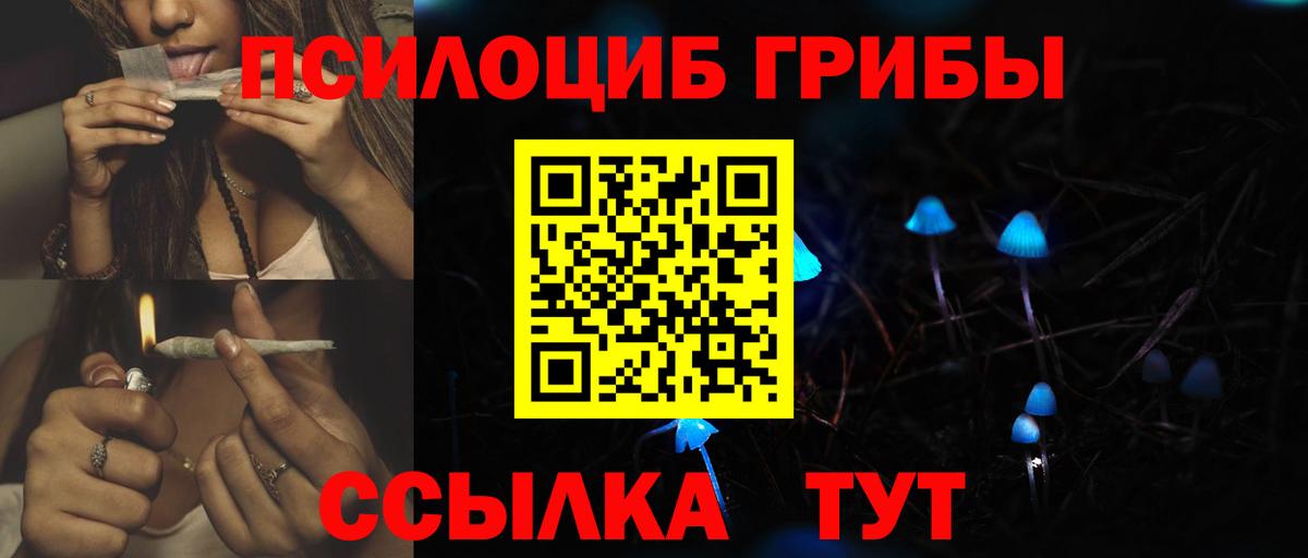 Псилоцибиновые грибы Psilocybe Нарткала